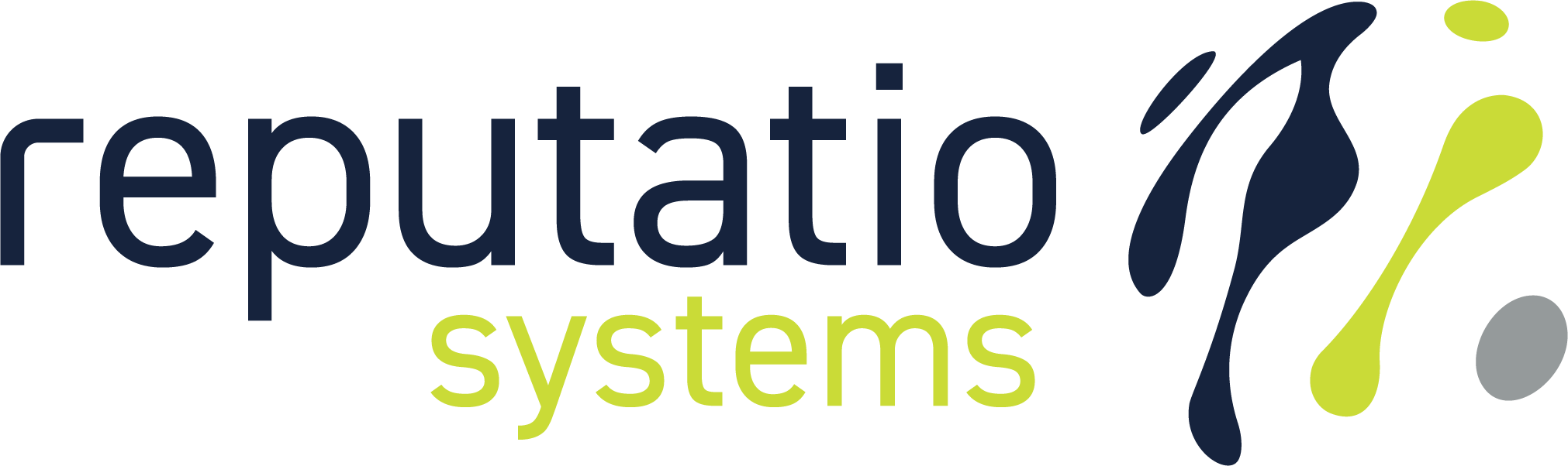 Logo reputatio systems